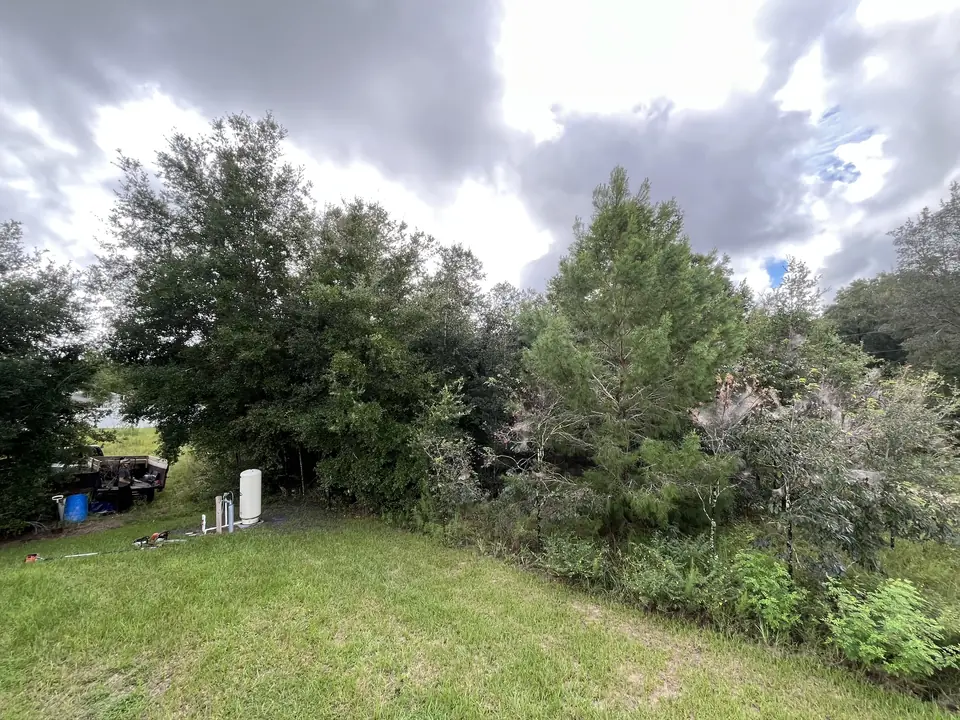 Yard edge overgrown with brush and small trees, a well tank on the left